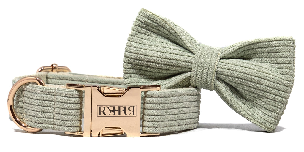 POSHPUP adjustable luxury dog collar with bow - corduroy matcha green