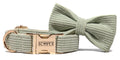 POSHPUP adjustable luxury dog collar with bow - corduroy matcha green