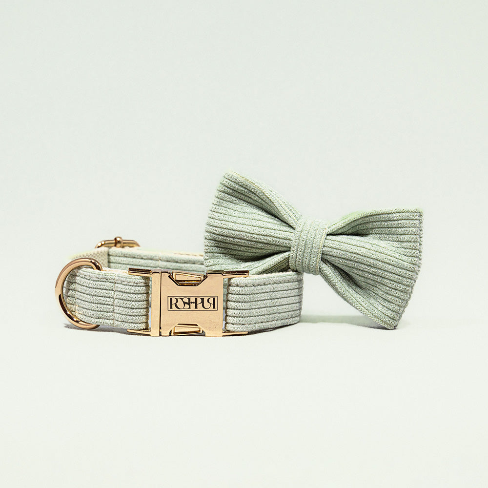 POSHPUP adjustable luxury dog collar with bow - corduroy matcha green