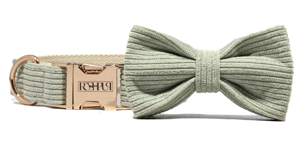 POSHPUP adjustable luxury dog collar with bow - corduroy matcha green