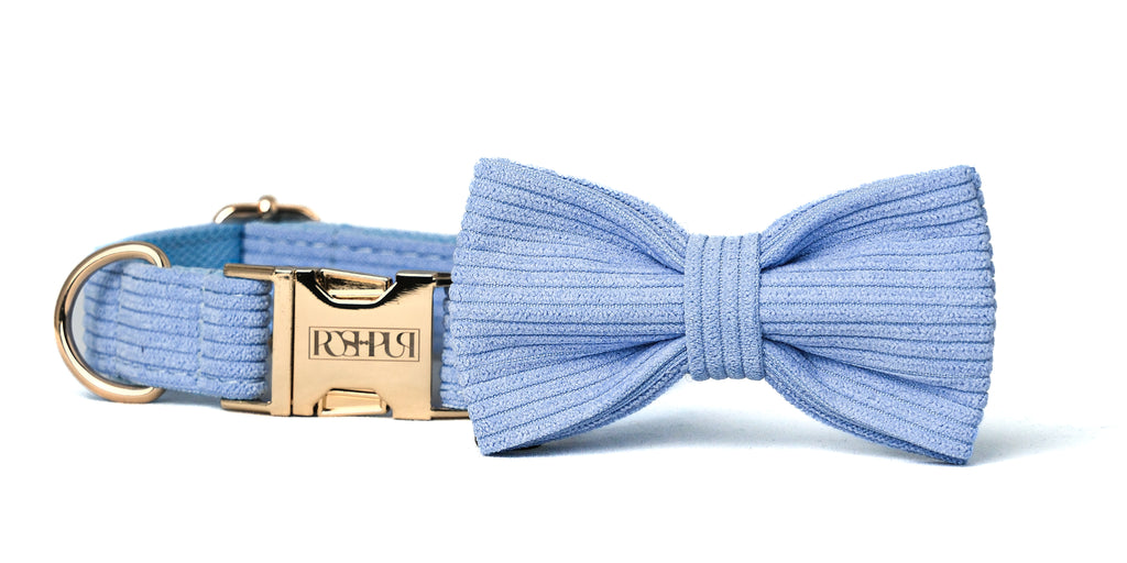 POSHPUP adjustable luxury dog collar with bow - corduroy pastel blue